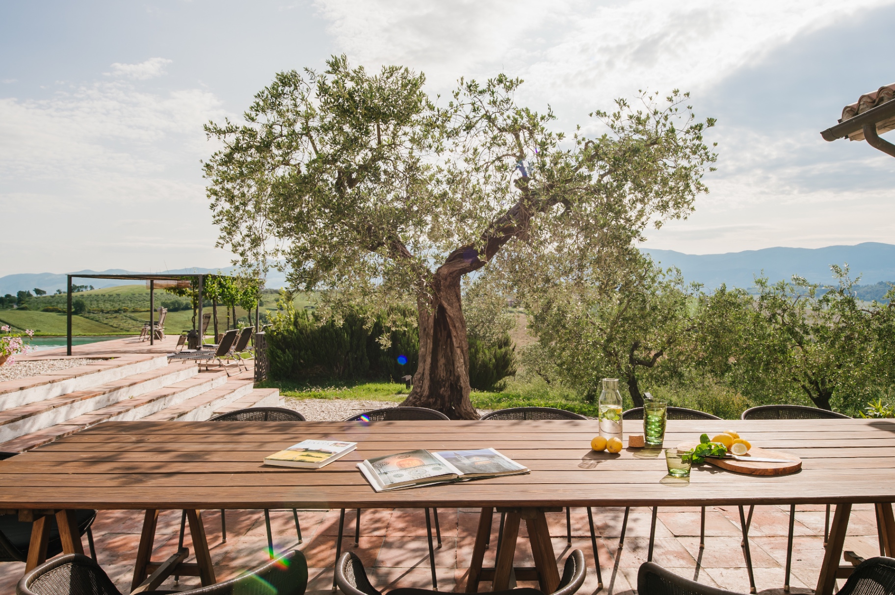 Outdoor dining table under an olive tree with a view of the Umbrian hills